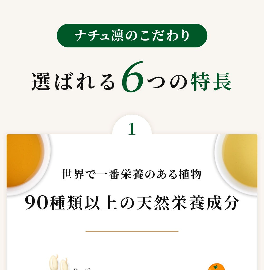モリンガ茶