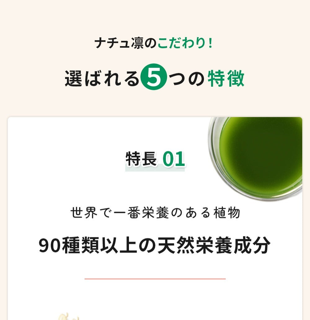 モリンガパウダー