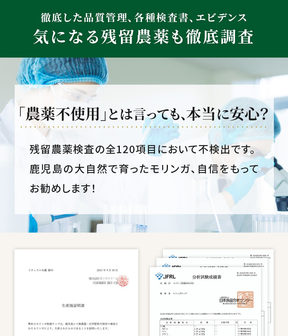 モリンガ茶