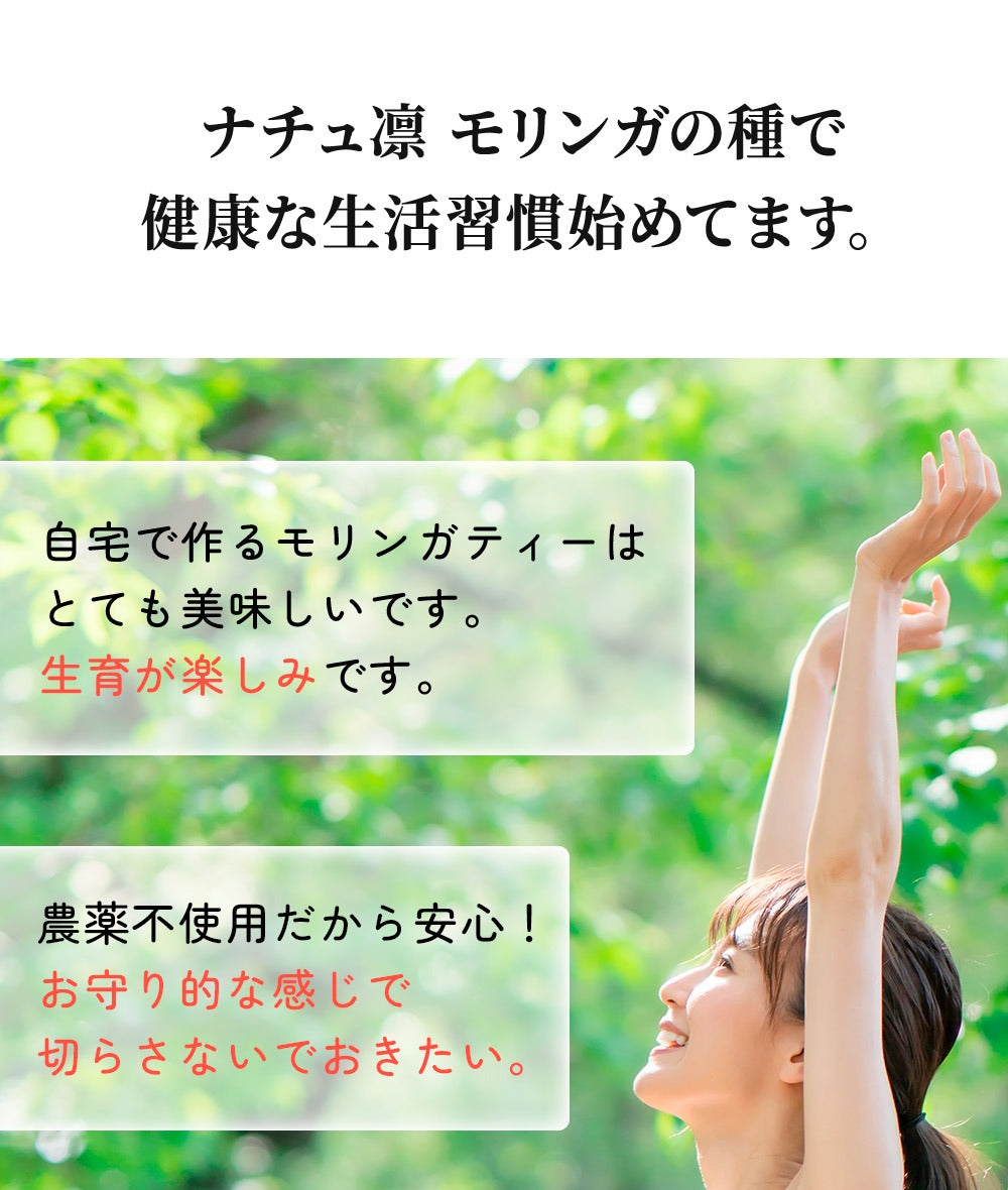モリンガの種