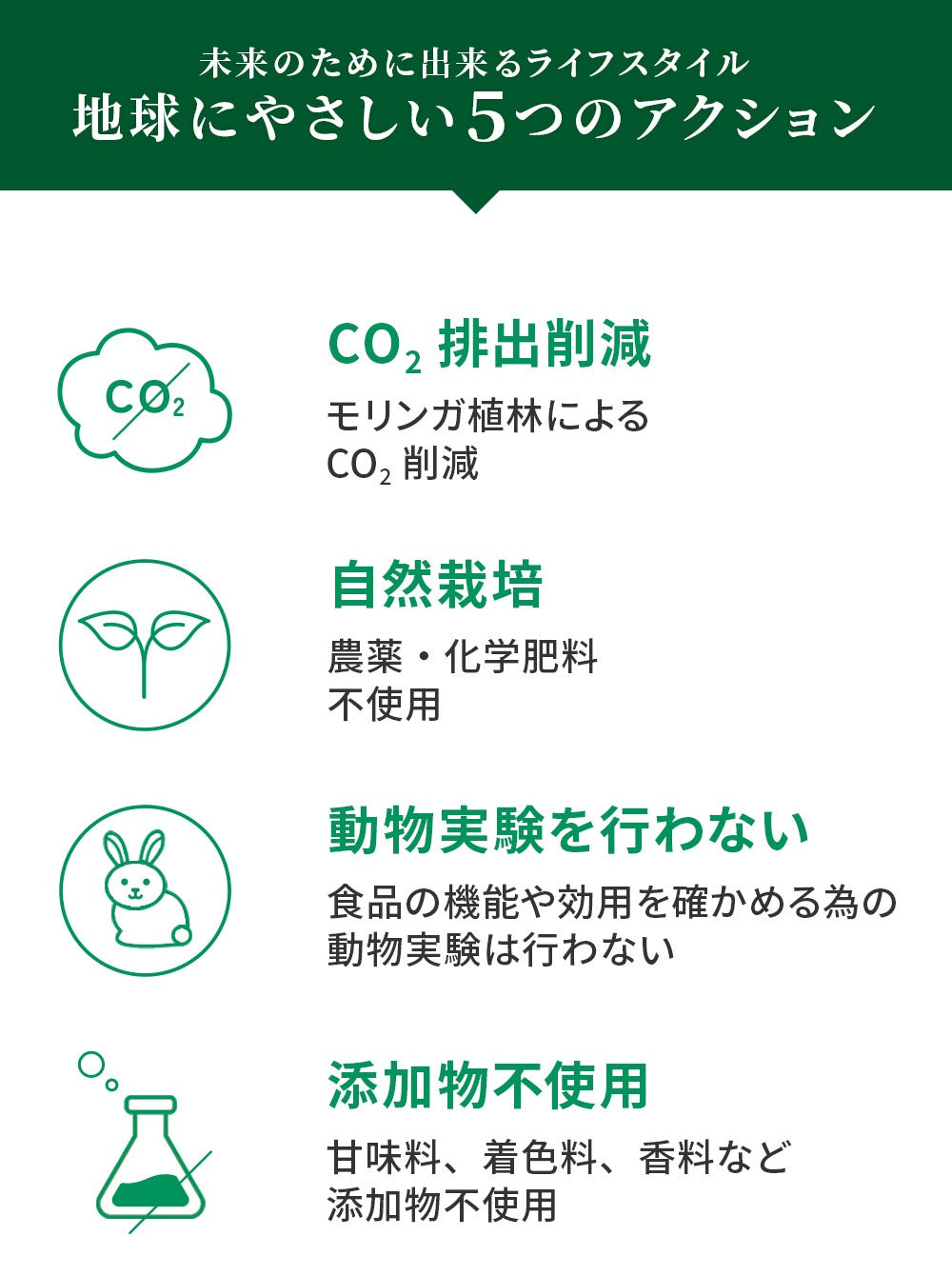 モリンガ茶