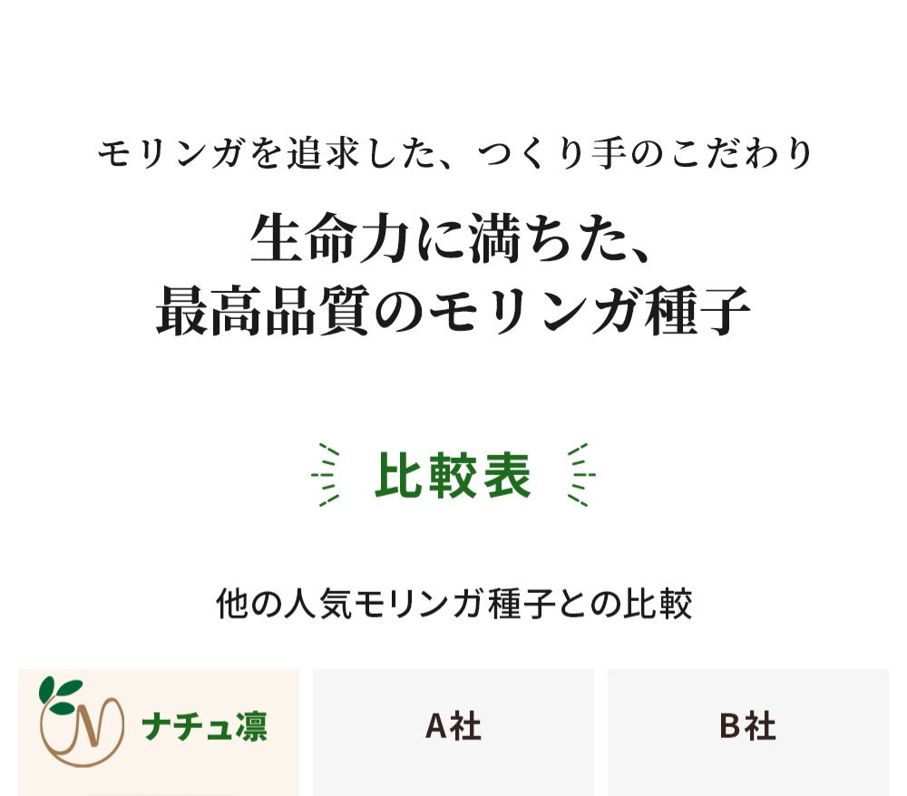 モリンガの種