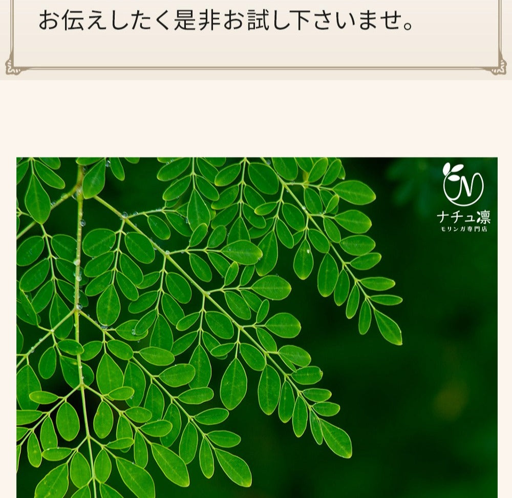 モリンガカプセル