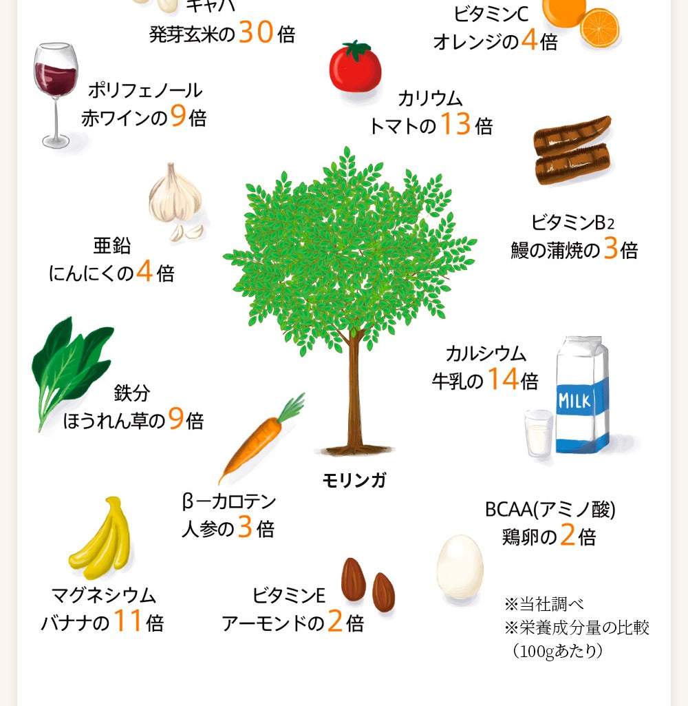 モリンガ茶