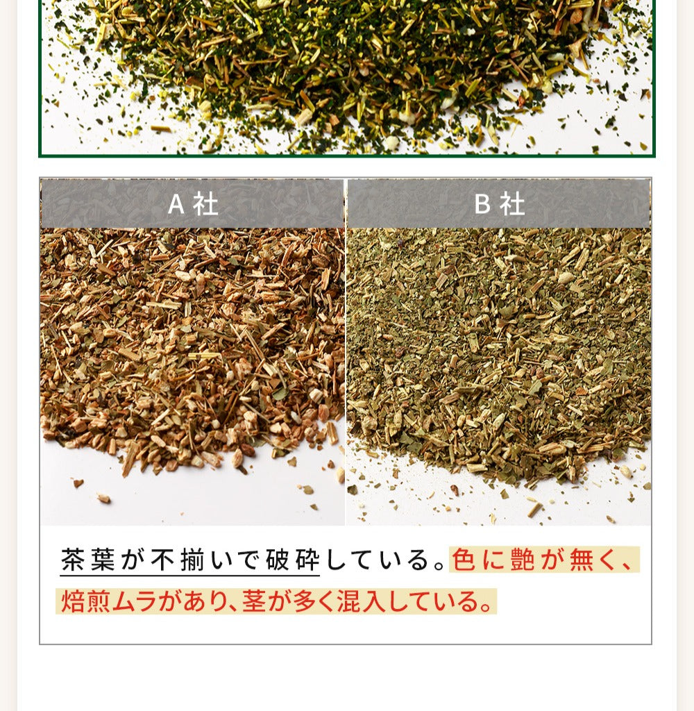 モリンガ茶