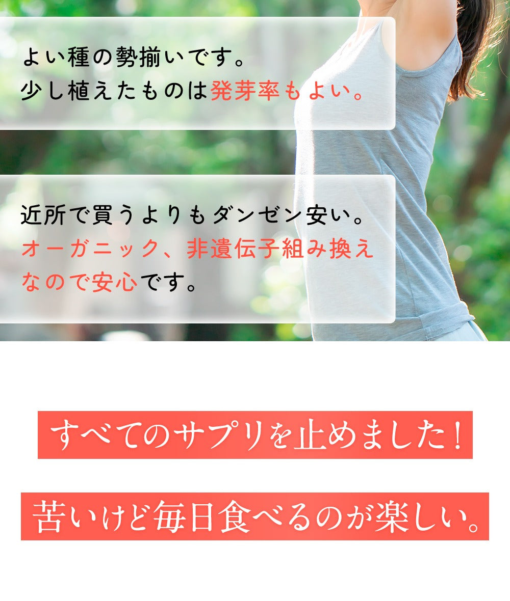 モリンガの種
