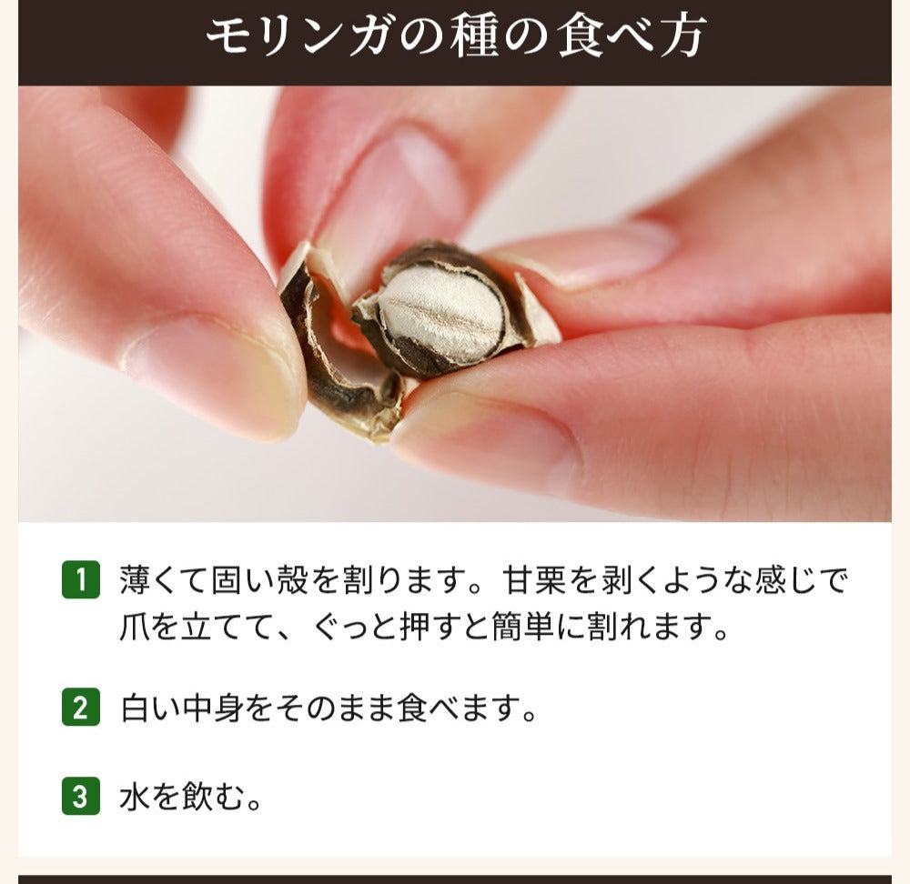 モリンガの種
