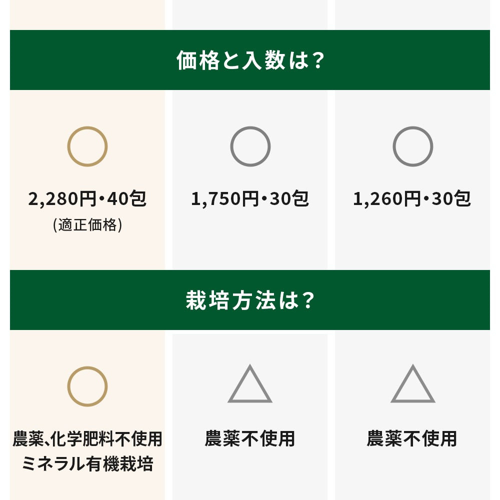 モリンガ茶