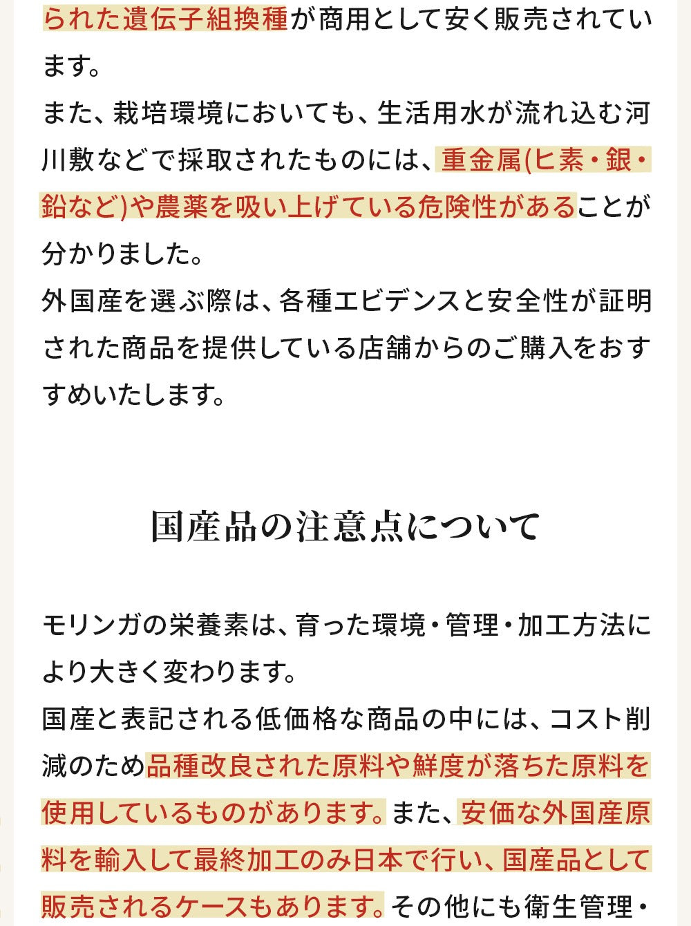 モリンガ茶