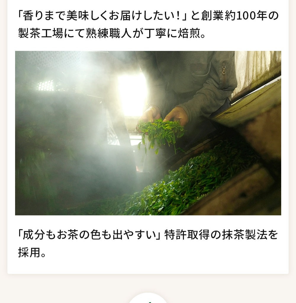 モリンガ茶
