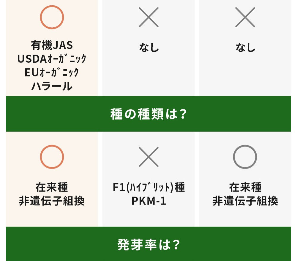 モリンガの種