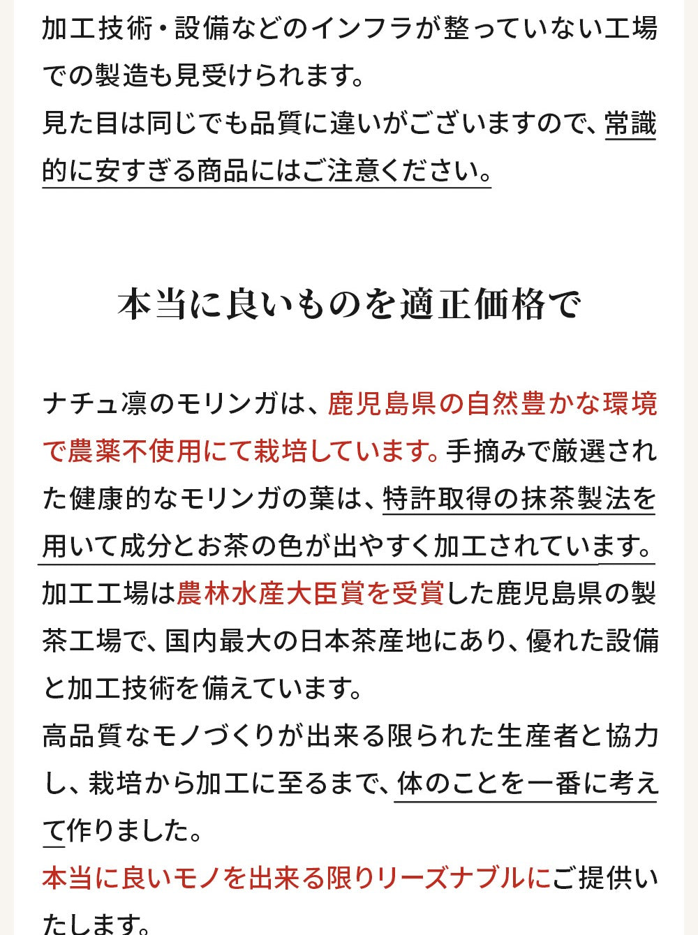 モリンガ茶