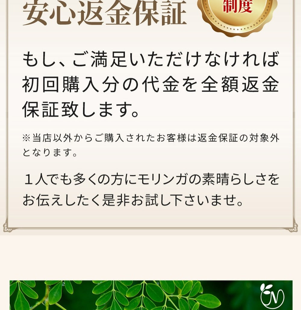 モリンガパウダー