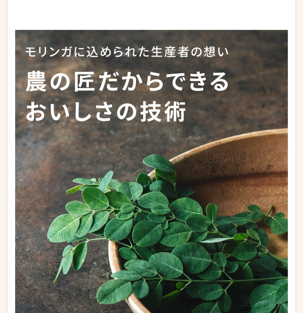 モリンガパウダー