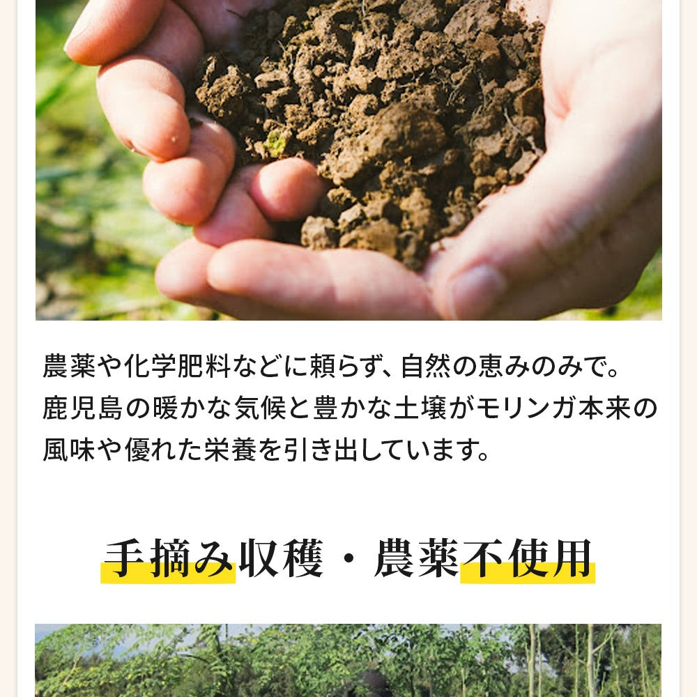 モリンガタブレット