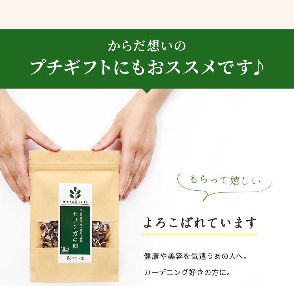 モリンガの種