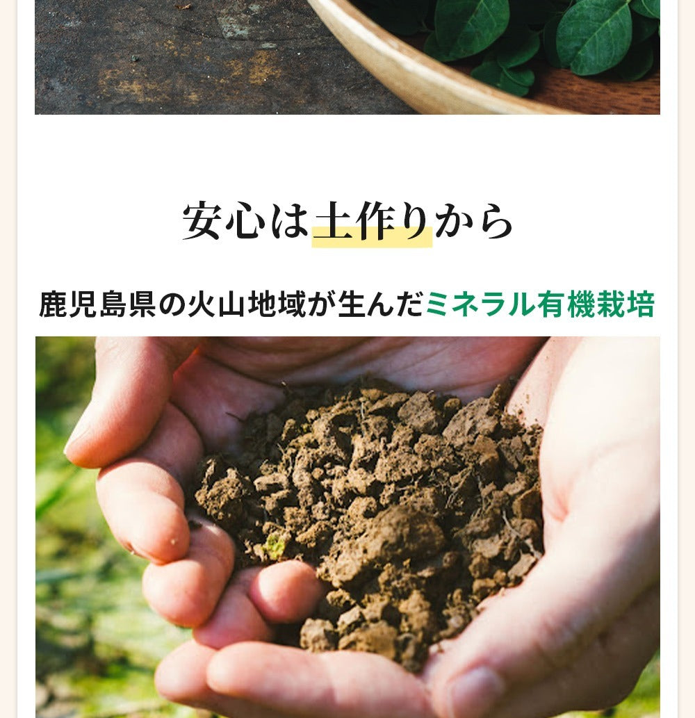 モリンガパウダー