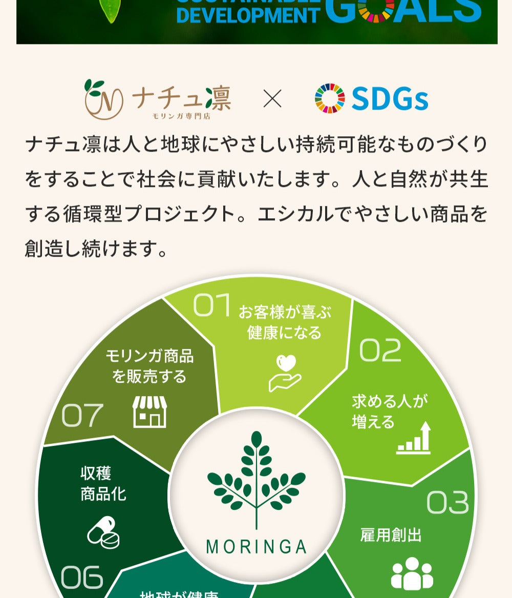 モリンガ茶