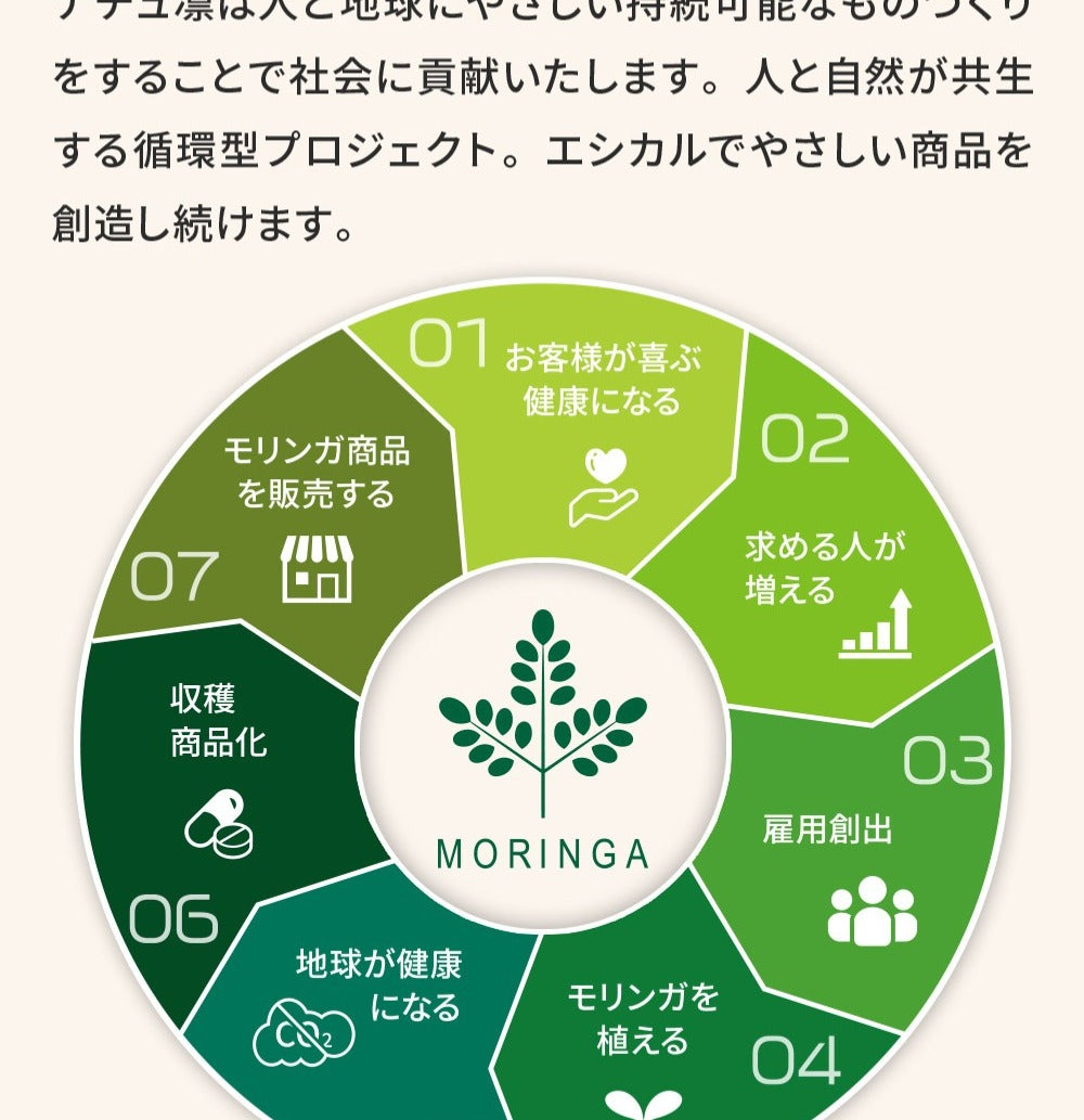 モリンガパウダー