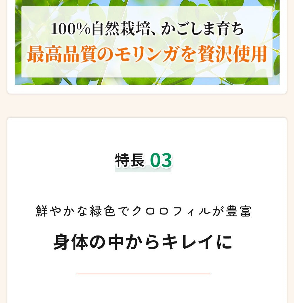 モリンガパウダー
