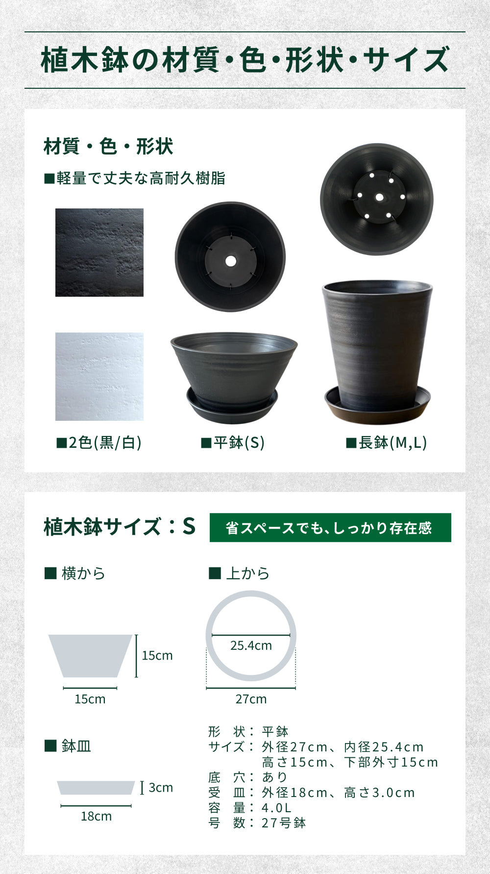 おうちモリンガ