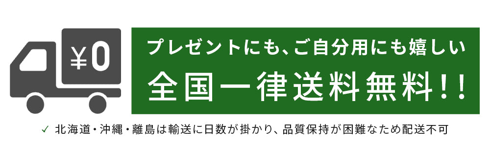 おうちモリンガ