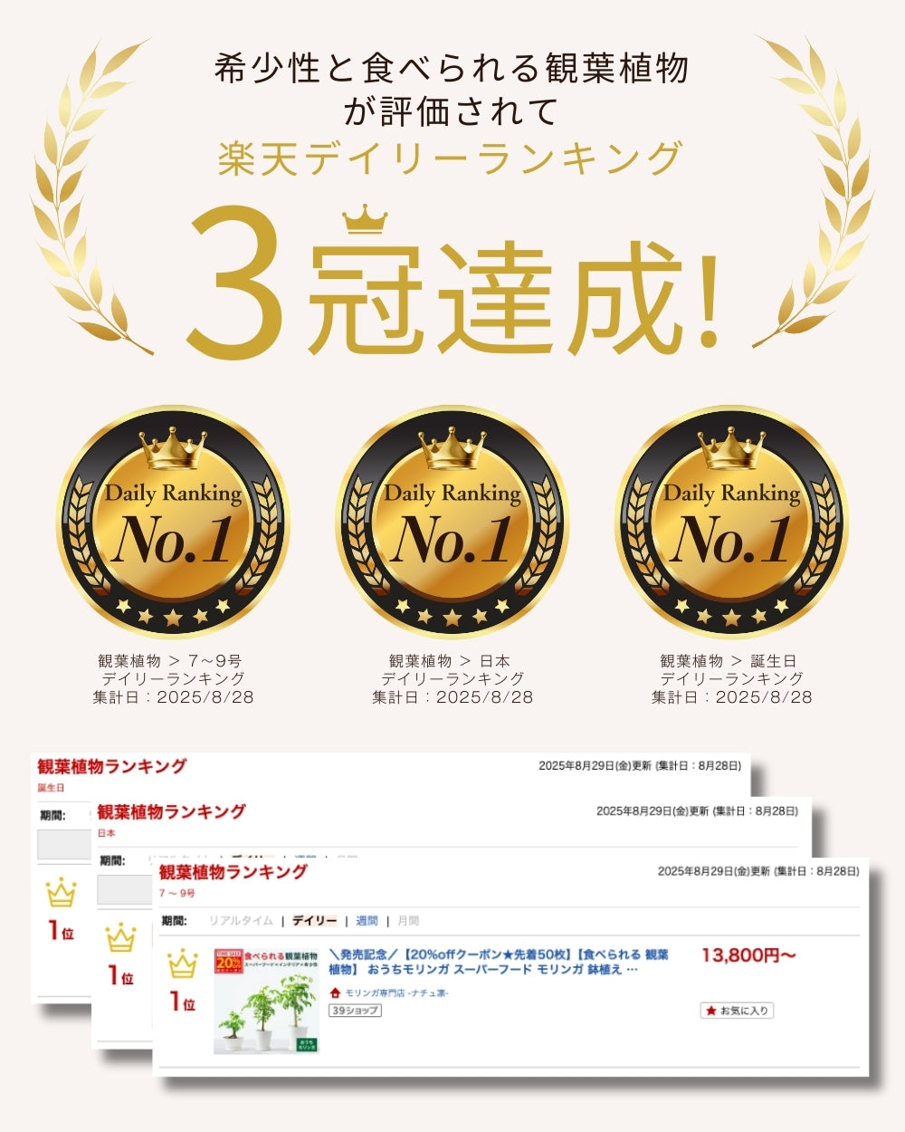 おうちモリンガ