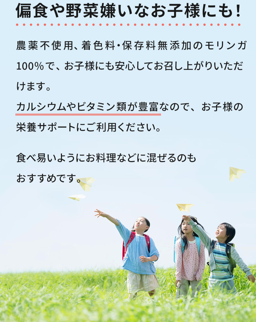 モリンガパウダー