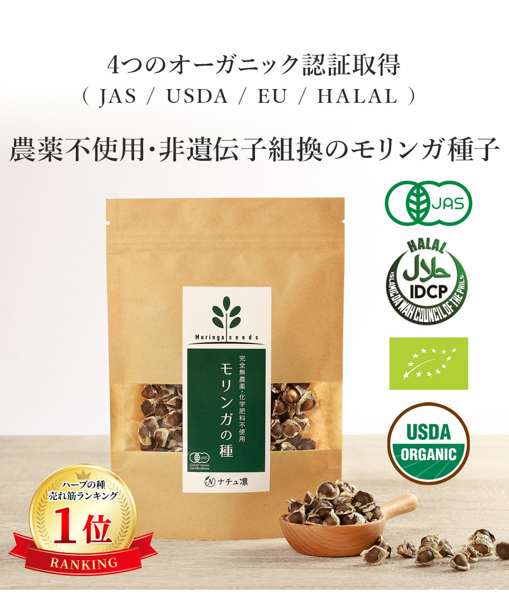 モリンガの種