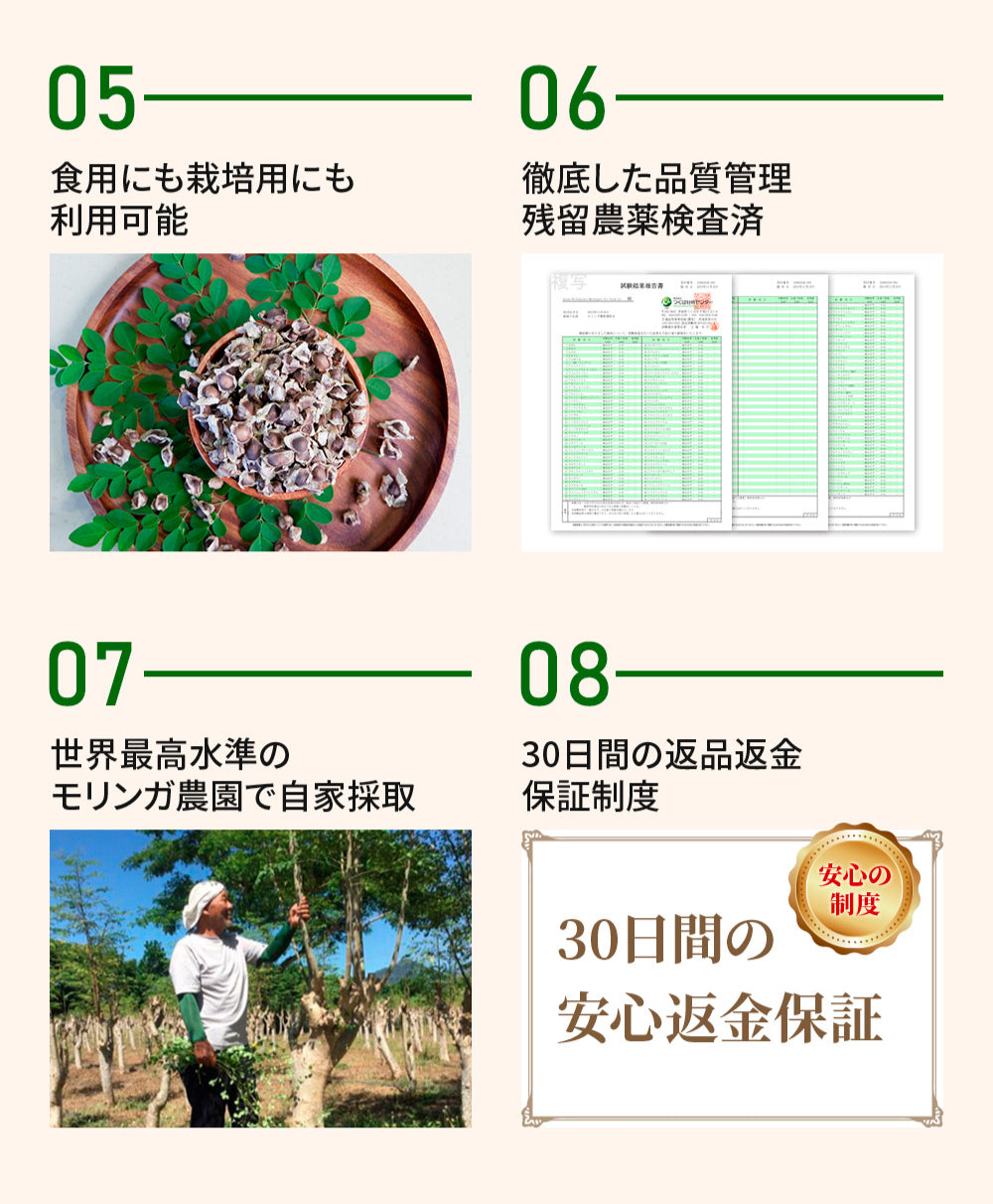 モリンガの種