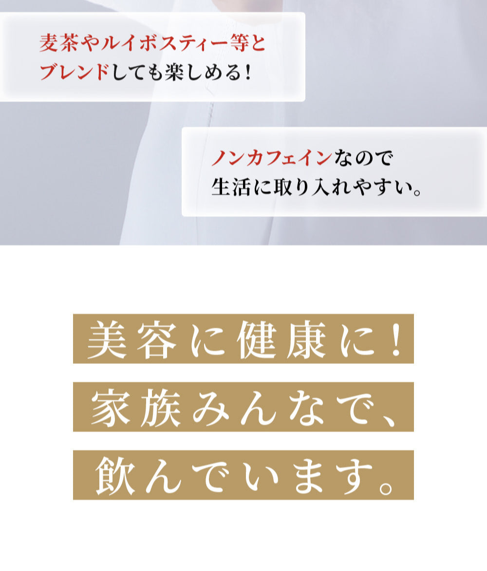 モリンガ茶