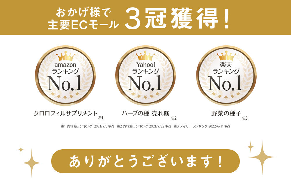 モリンガの種
