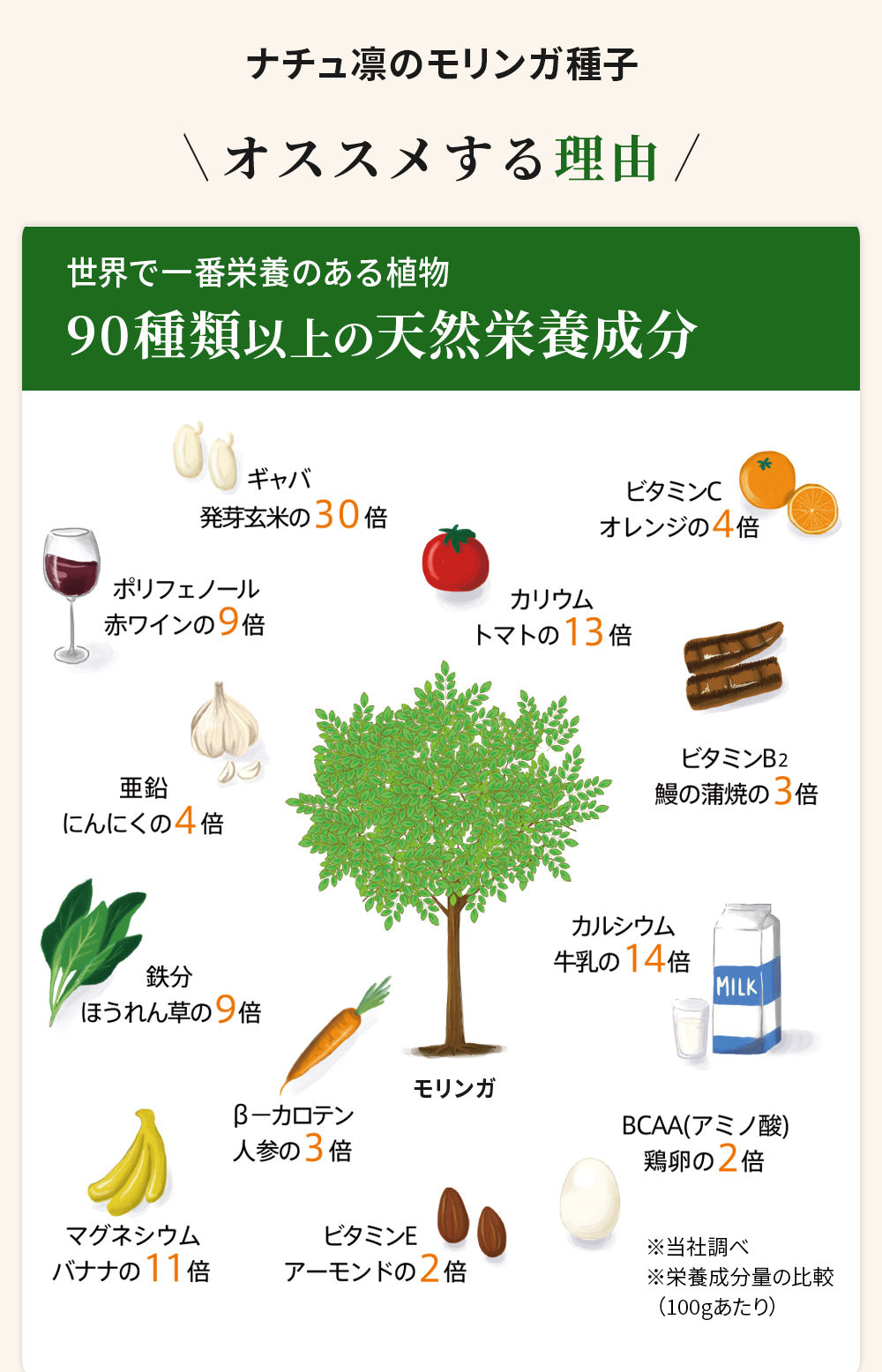 モリンガの種