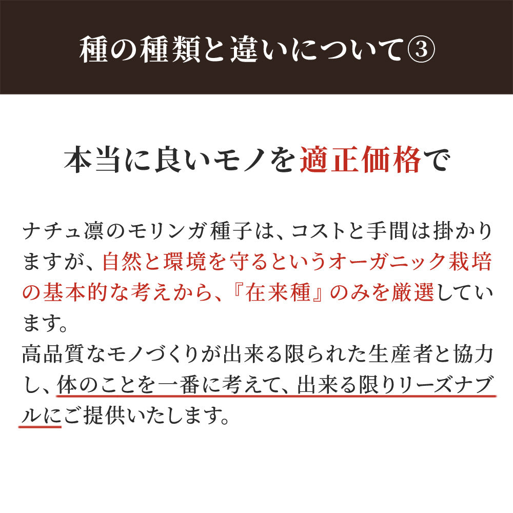 モリンガの種