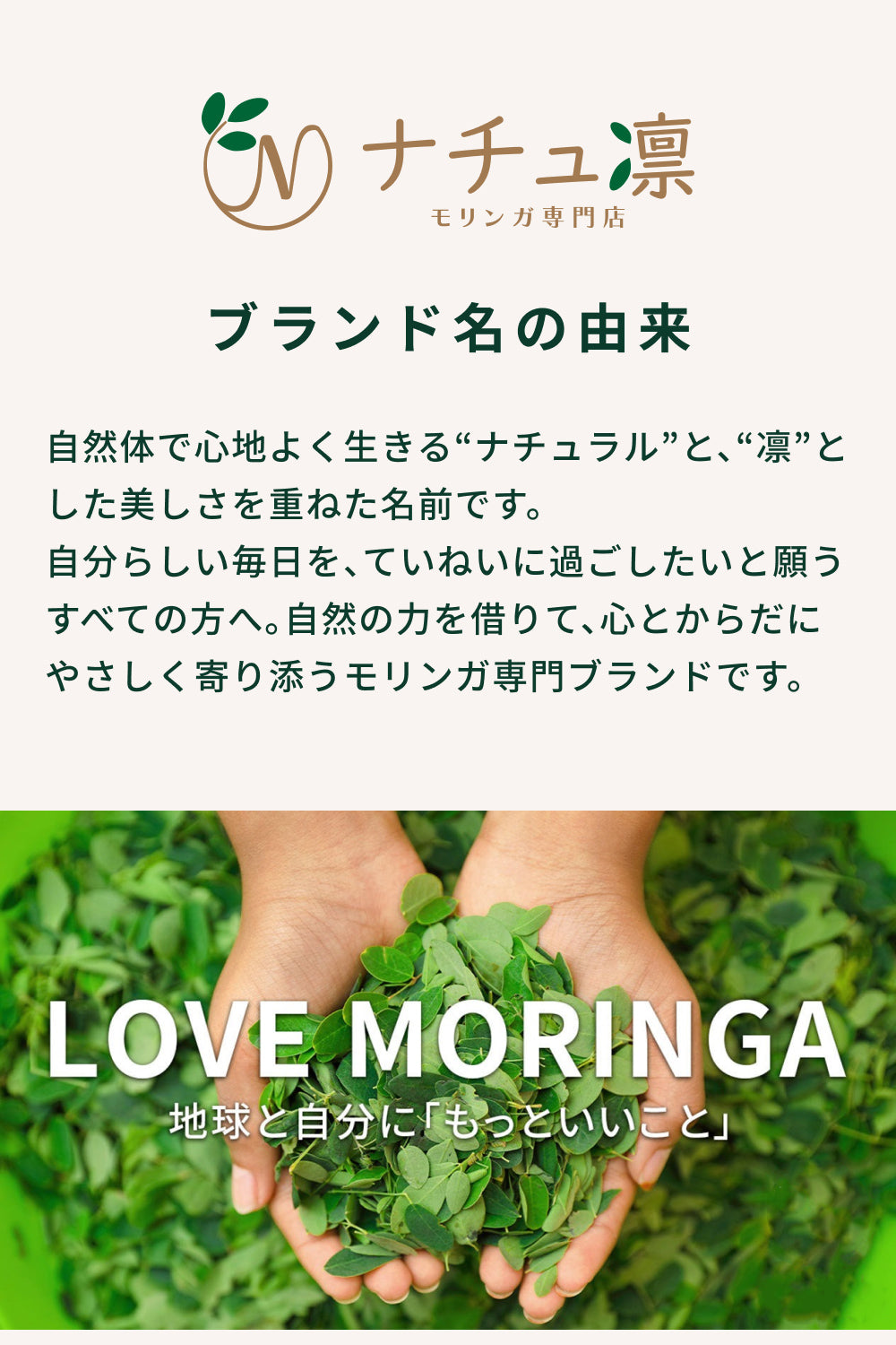 おうちモリンガ
